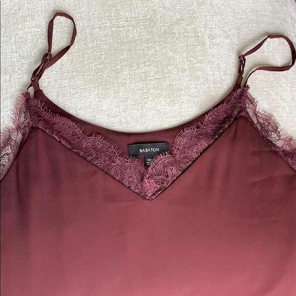 Aritzia Babaton Lace Camisole - Picture 4 of 7